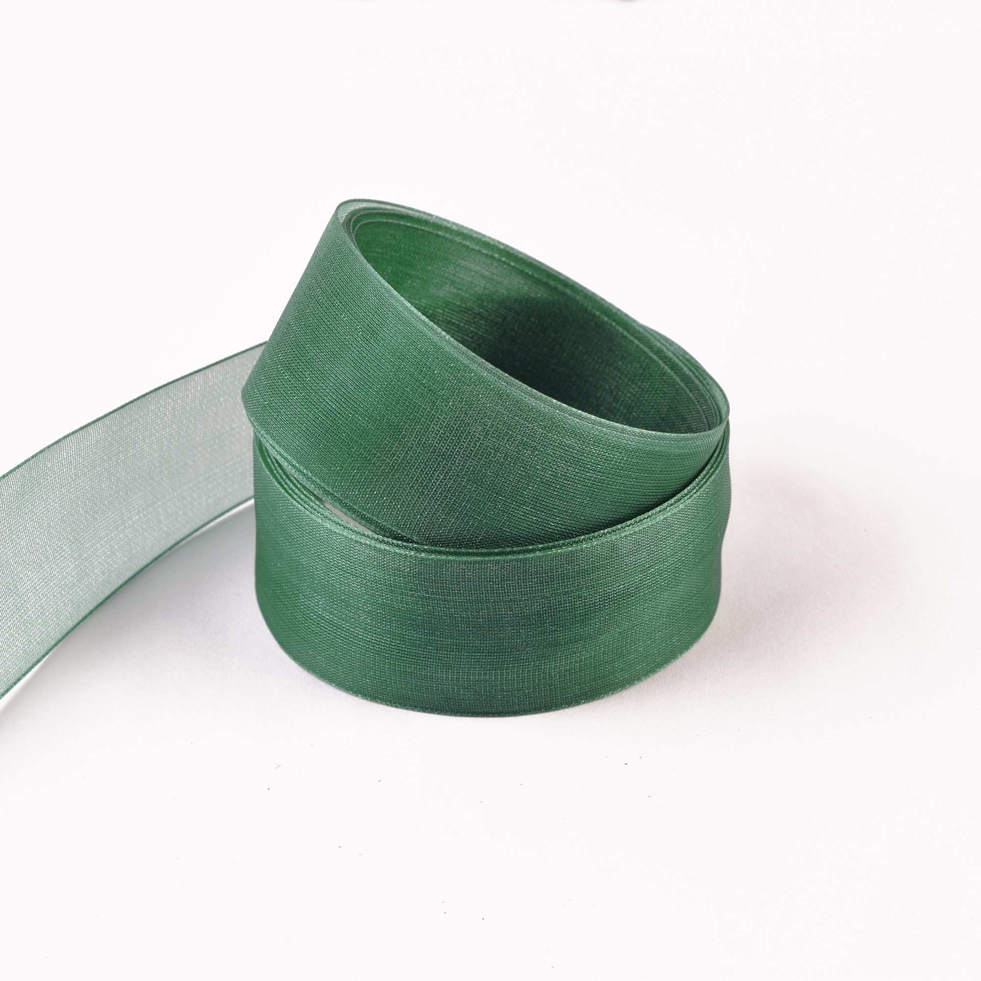 Renges Ribbon GI0361 - Woven Edge Nylon Sheer - Green 781